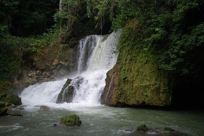 private-tour-to-ys-falls-appleton-rum-tour-and-pelican-bar-from-montego-bay