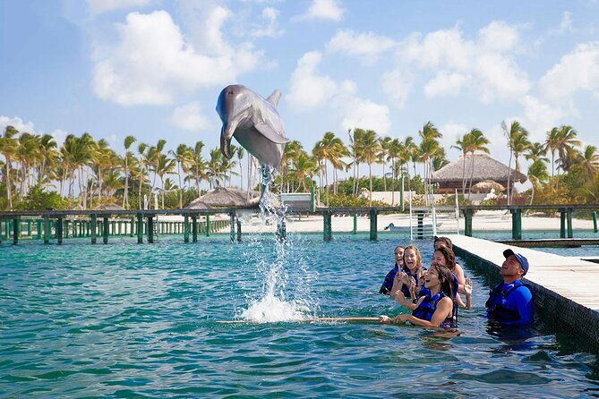 private-transfer-from-punta-cana-to-la-altagracia-province