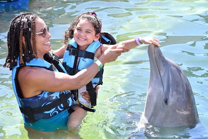private-transportation-to-from-dolphin-cove-in-montego-bay