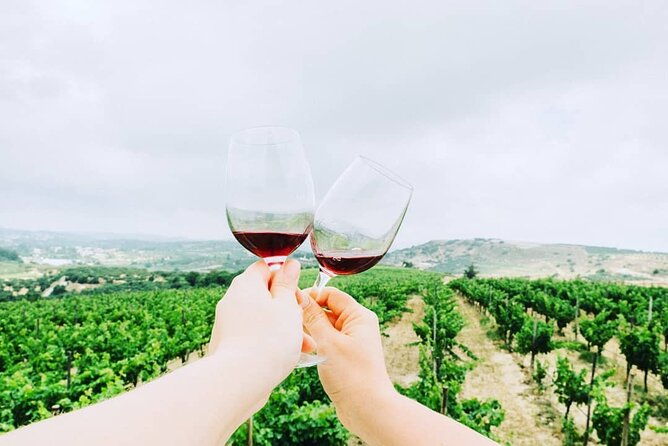 private-wine-tasting-lunch-lyrarakis-winery-transfer-inclu