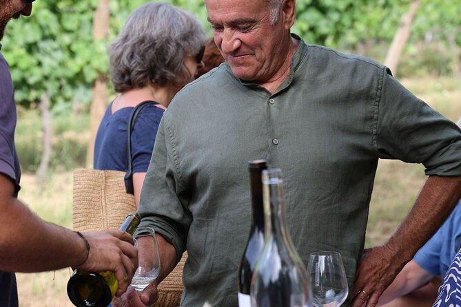 private-wine-tasting-tour-around-ile-rousse-and-calvi-2