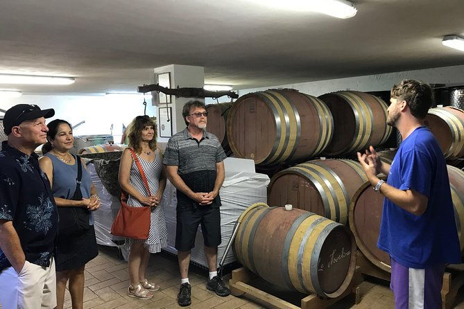 private-wine-tour-with-sommelier-the-magical-bolgheri-2-wineries