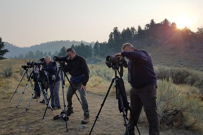 private-wolf-wildlife-watching-in-yellowstones-lamar-valley