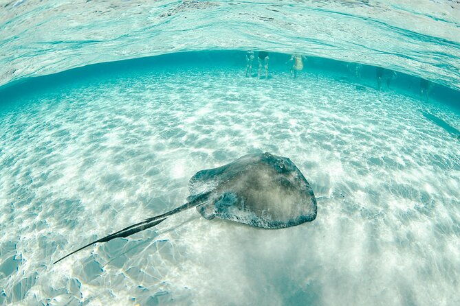 private-yacht-48-ft-sting-ray-city-snorkel-starfish-beach