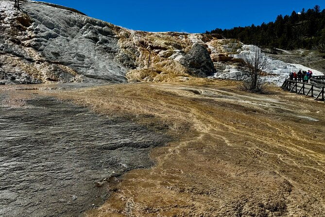 private-yellowstone-wildlife-and-photo-tours-upper-loop-cody-wy-2