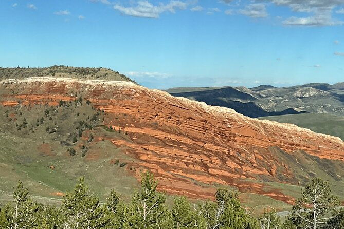 private-yellowstone-wildlife-and-photo-tours-upper-loop-cody-wy