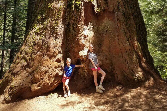 private-yosemite-explorer-package-3-days-of-adventure
