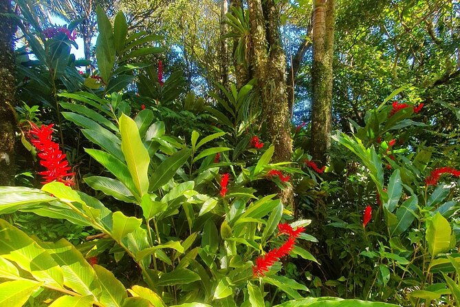 puerto-plata-city-tour-with-the-mount-isabel-rum-chocolate