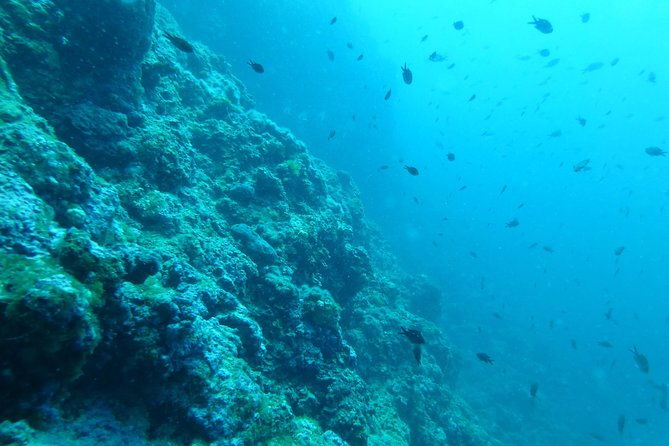 pula-boat-trip-with-snorkeling