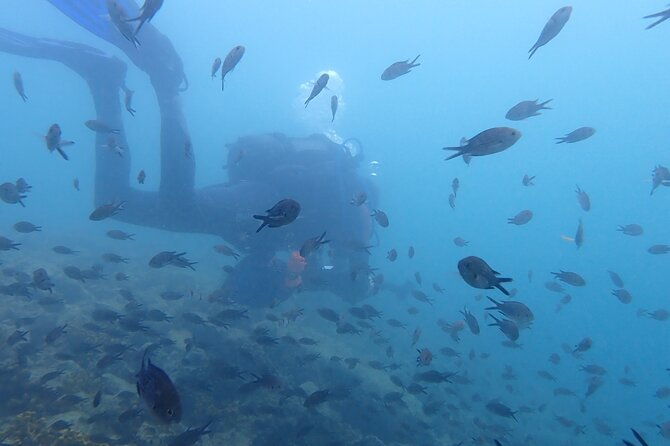 pula-discover-scuba-diving-package-2