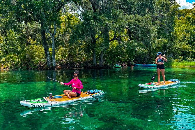 rainbow-springs-paddle-board-adventure