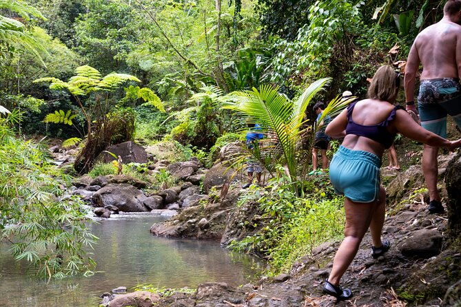 rainforest-hike-and-waterfall-safari
