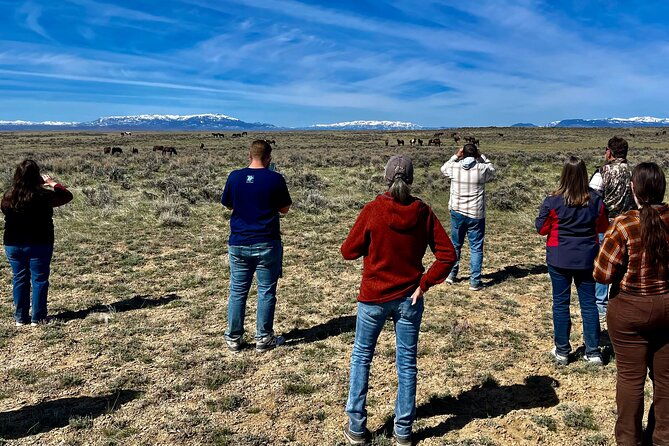 red-canyon-small-group-wild-mustang-van-tours-in-cody-wyoming