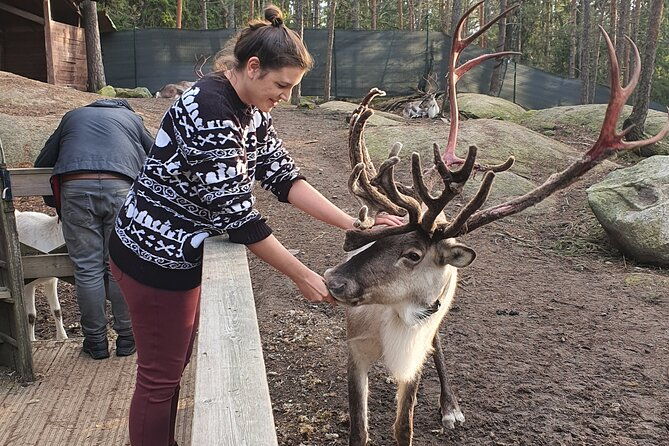 reindeer-park-adventure-private-service
