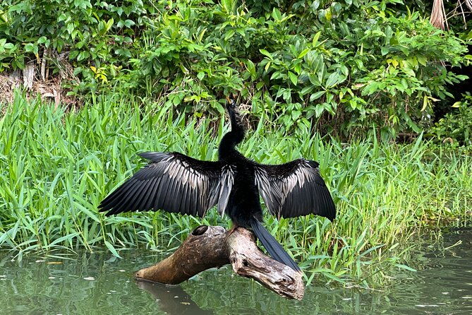 relaxing-canoe-tour-in-tortuguero