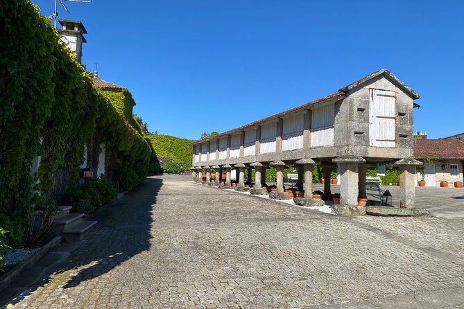 rias-baixas-private-wine-tasting-tour-in-a-porsche-taycan