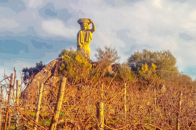 ribeira-sacra-heroic-wines-private-tour-from-santiago