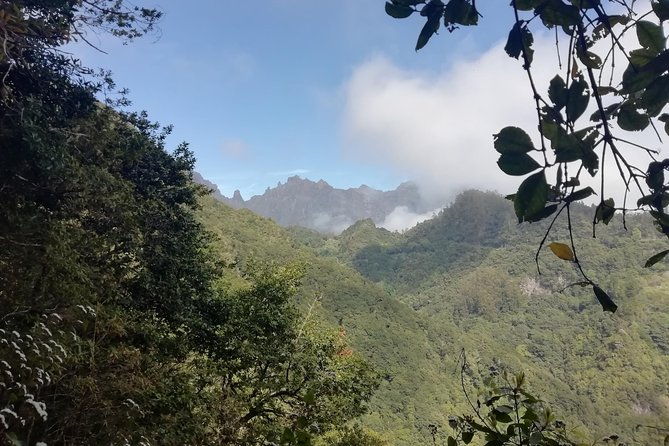 ribeiro-frio-portela-2