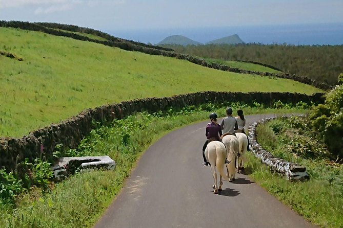 ride-a-volcano-go-to-the-gardens-in-the-woods