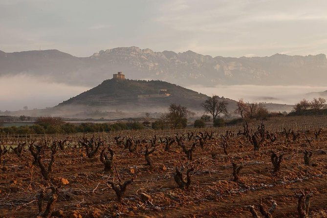rioja-alavesa-wineries-and-medieval-villages-day-trip-2