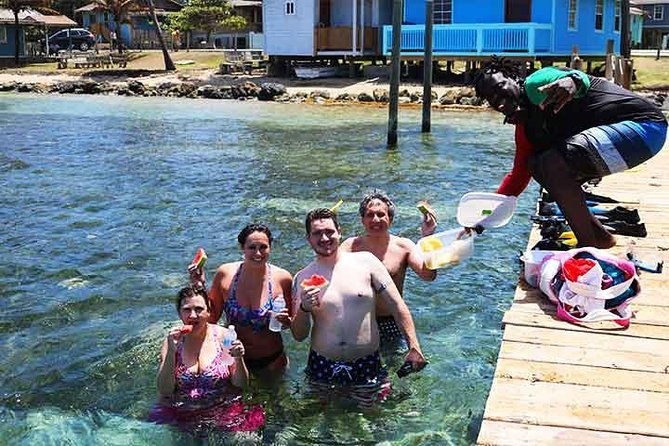 roatan-1-tank-shore-dive-sloth-monkey-park-city-tour-plus-transportation