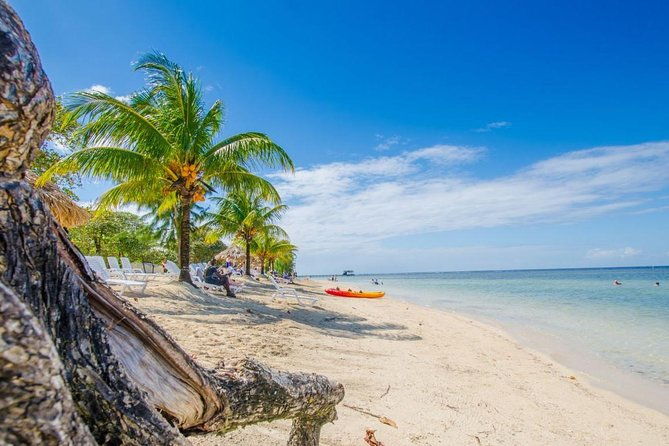 roatan-beach-and-snorkelling-break