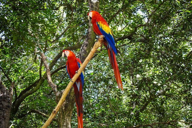 roatan-by-land-and-sea