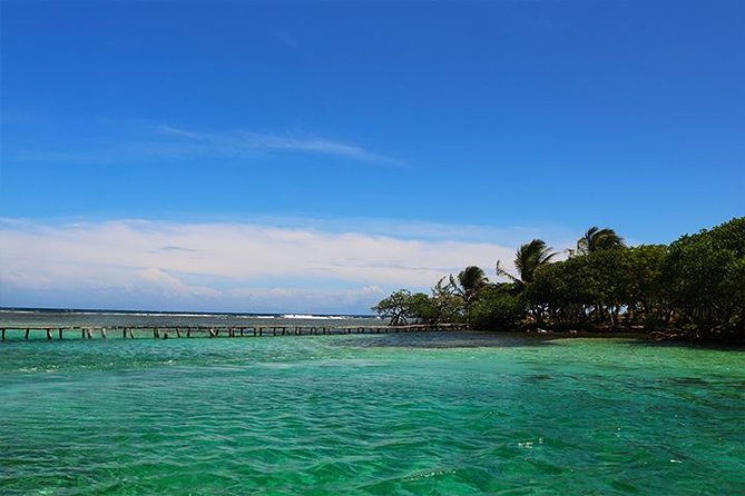 roatan-mangrove-tunnel-culture-tour-on-a-water-taxi-tuk-tuk
