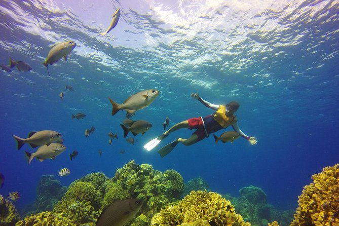 roatan-sea-kayak-snorkel-and-swim