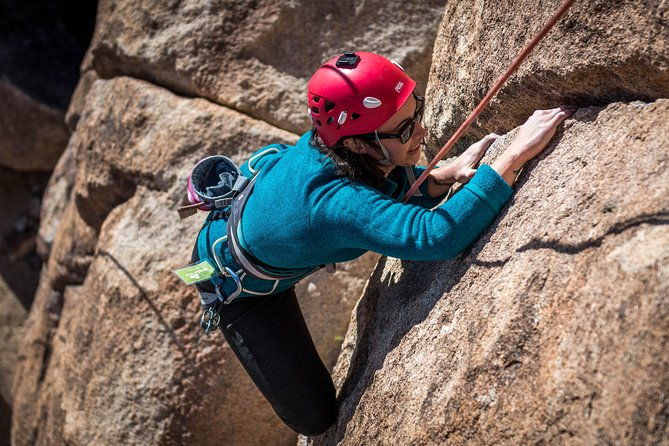 rock-climbing-trips-in-joshua-tree-national-park-6-hours