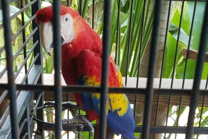 rockland-bird-sanctuary-private-tour-2