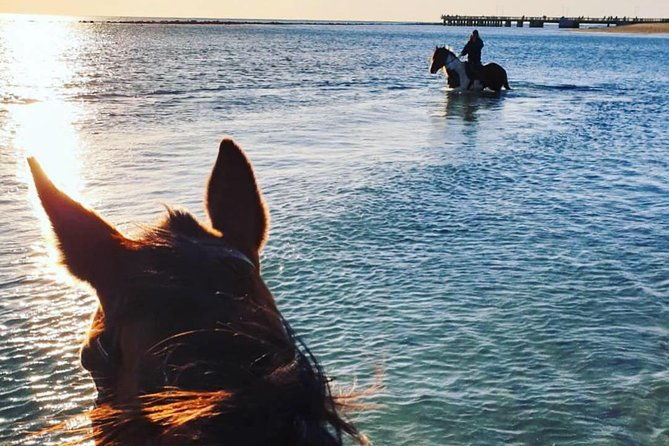 rome-private-horseback-riding-experience-on-the-beach