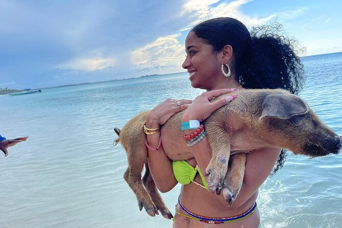 rose-island-private-beach-swimming-with-the-pigs