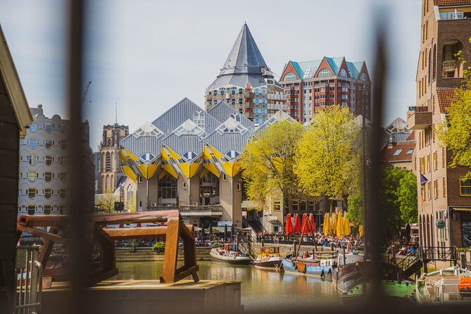 rotterdam-highlights-hidden-gems-walking-tour-with-local