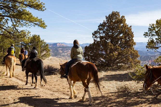 rubys-horseback-adventures-utah-1-5-hour-ride