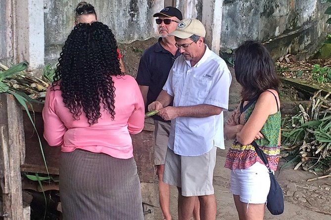 rum-tour-exploring-the-historic-river-antoine-rum-distillery