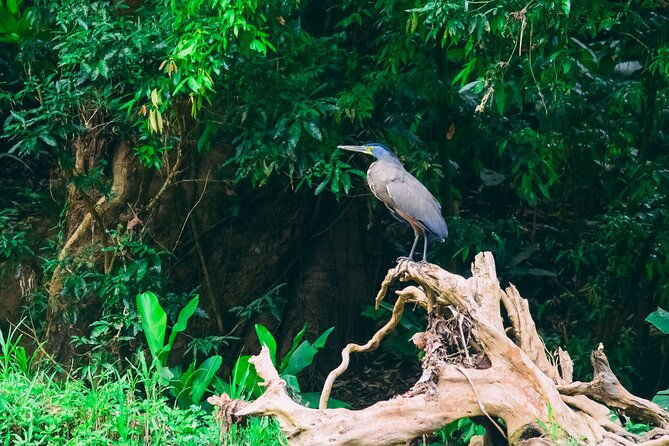 safari-float-sarapiqui-river-from-san-jose