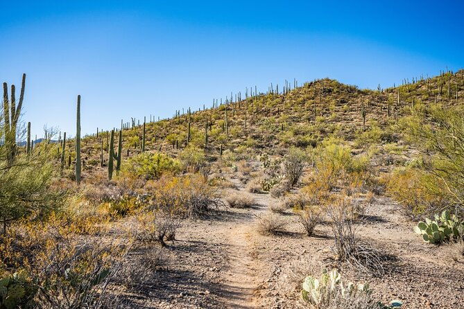 saguaro-np-and-mt-lemmon-self-guided-driving-audio-tour-bundle