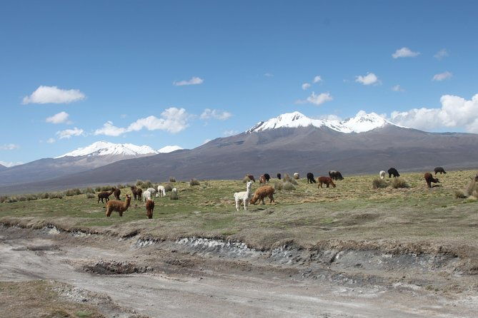sajama-national-park-3d-2n