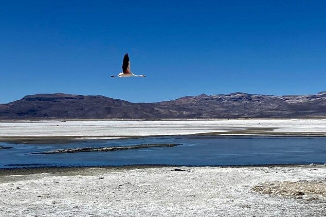salinas-lake-national-reserve-private-tour
