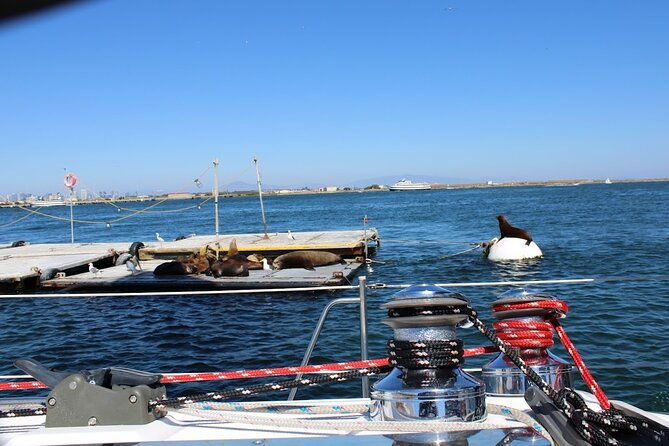 san-diego-private-morning-sail-up-to-12-guests