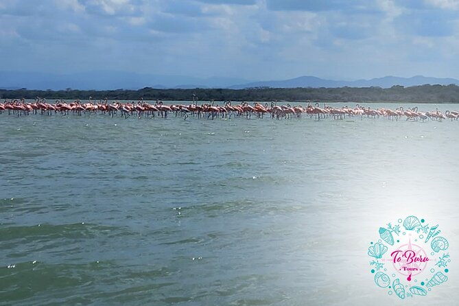 sanctuary-los-flamingos-tour