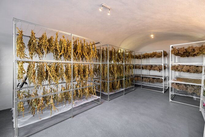 santorini-private-agri-educational-visit-to-an-organic-farm
