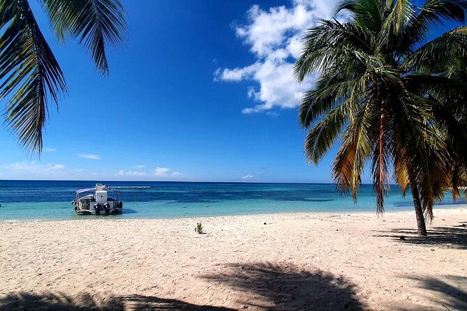 saona-island-excursion-small-group-on-motorized-trimaran