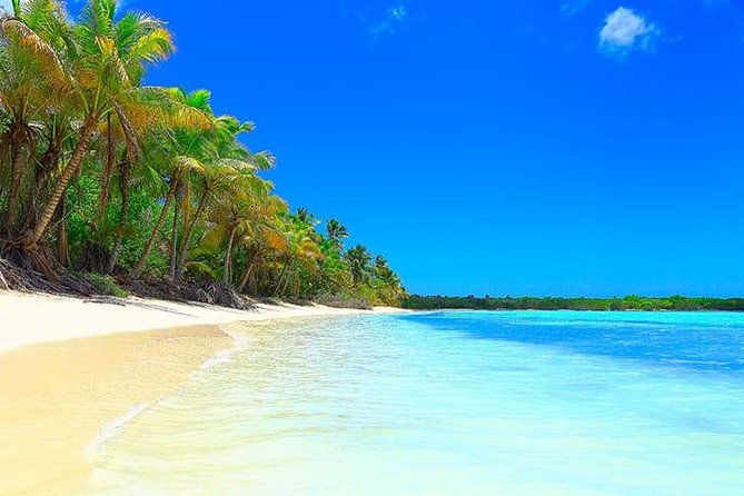 saona-island-paradise-full-day-all-inclusive-from-punta-cana-bayahibe