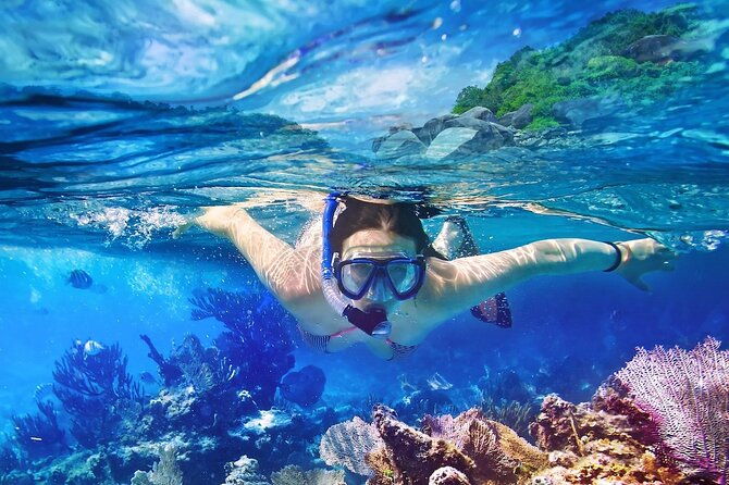 saona-island-tour-from-punta-cana-with-lunch-open-bar-pickup