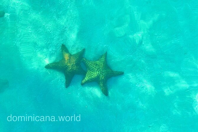 saona-private-tour-with-personal-guide-and-transport-from-punta-cana