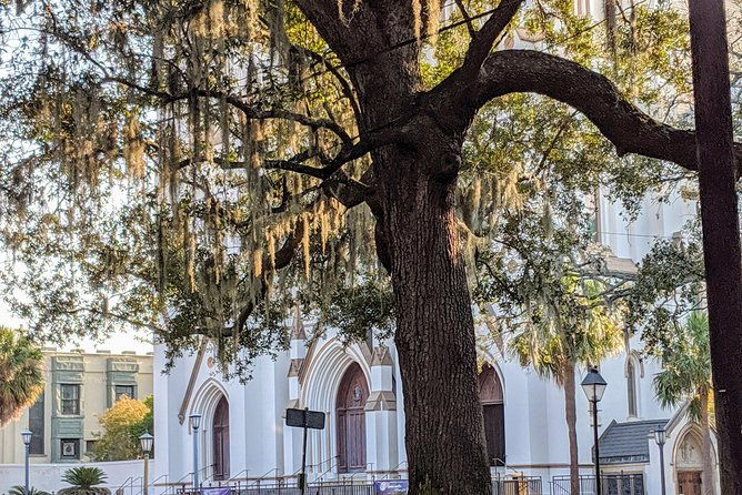 savannah-vip-tour-private-full-day-tour