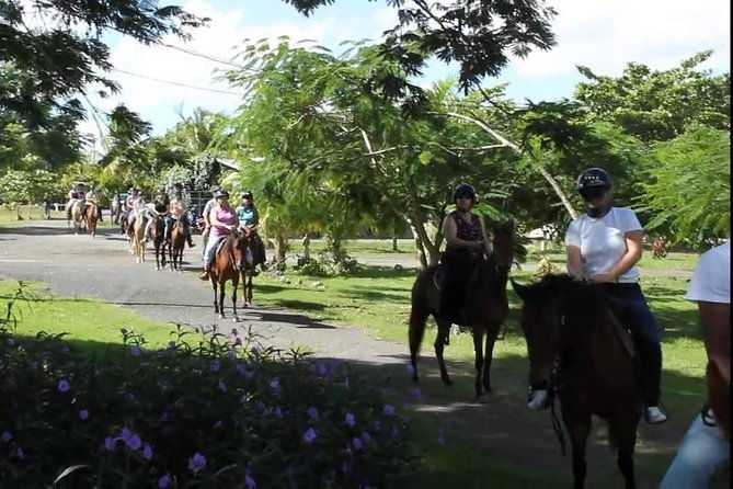 scenic-horseback-riding-tour-from-san-juan
