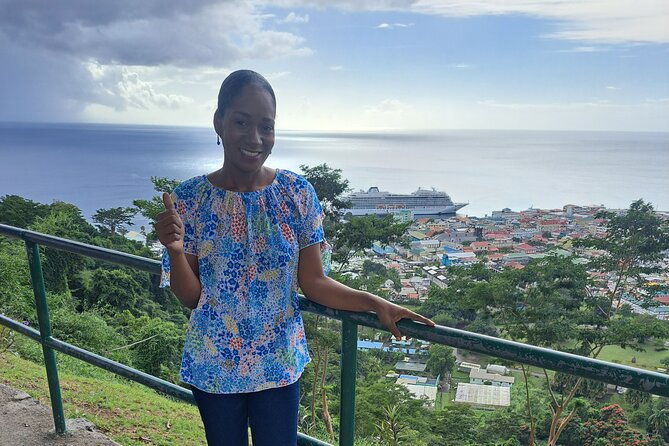 scenic-tour-of-city-and-rainforest-waterfall-sulphur-springs